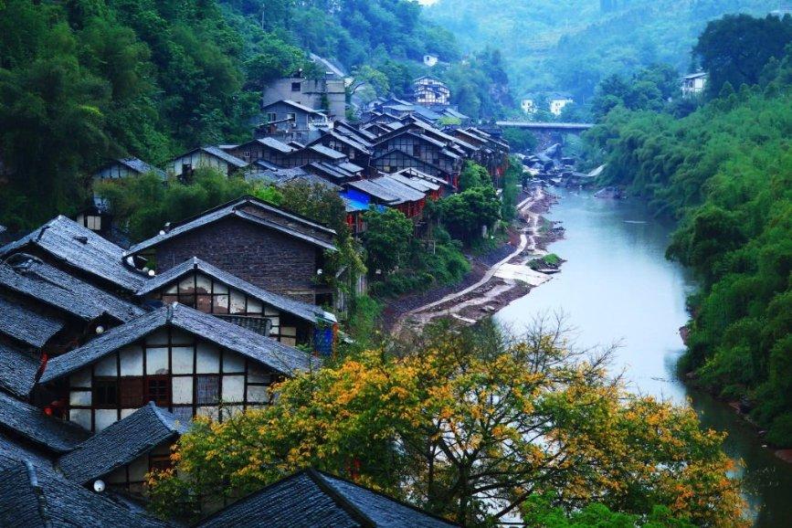 100天学霸养成